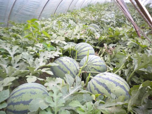 再按需打开相关阅读